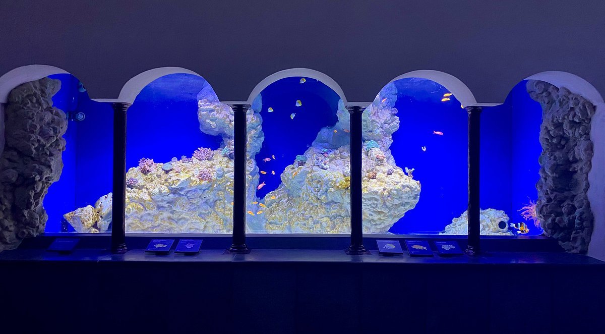 Hotel Vicino Acquario di Napoli | A Pochi Minuti dalla Villa Comunale | H Rooms